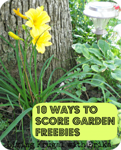 10 Ways to score garden freebies