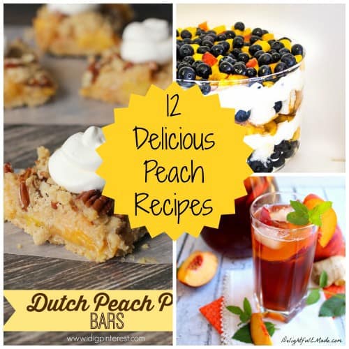 12 Delicious Peach Recipes- Love, Pasta and a Tool Belt
