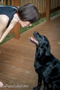 The sun is shining and the temperatures are rising and I've got 7 Summer Activities for Your Dog (and you too) #ad #PawstoSavor