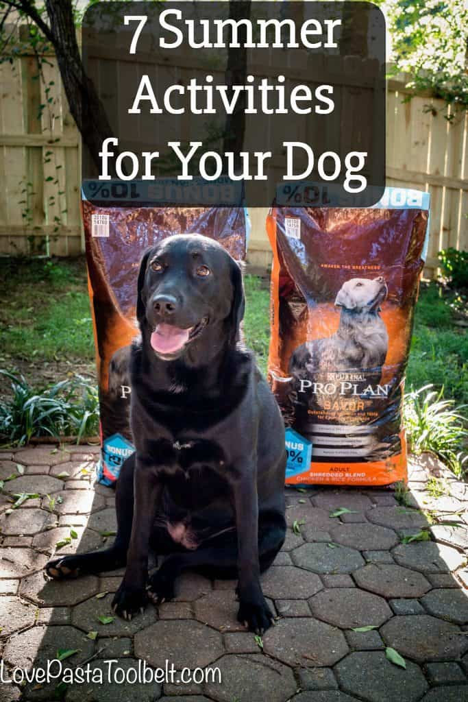 The sun is shining and the temperatures are rising and I've got 7 Summer Activities for Your Dog (and you too) #PawstoSavor #ad 