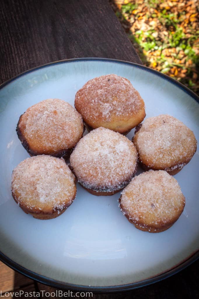 Applesauce Mini Muffins