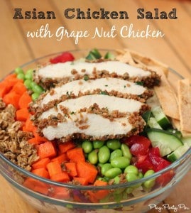 Asian Chicken Salad- Play Party Pin