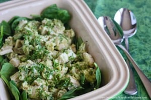 Chicken Avocado Salad- Hearth and Homefront