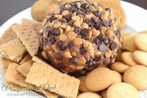 Chocolate Peanut Butter Cheese Ball