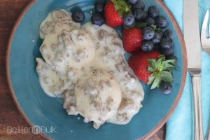 Classic-biscuits-and-gravy-6