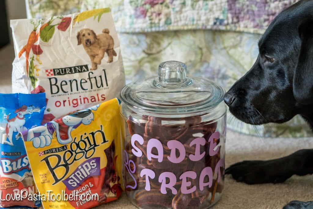 Give your pet a little extra love with this DIY Personalized Dog Treat Jar