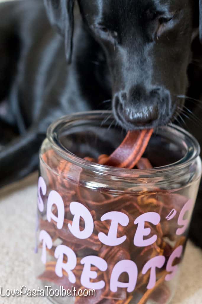 Give your pet a little extra love with this DIY Personalized Dog Treat Jar