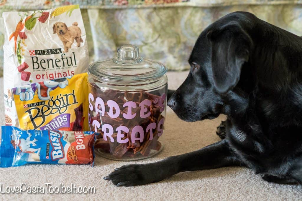 Give your pet a little extra love with this DIY Personalized Dog Treat Jar