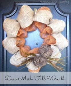 Deco Mesh Fall Wreath[13]