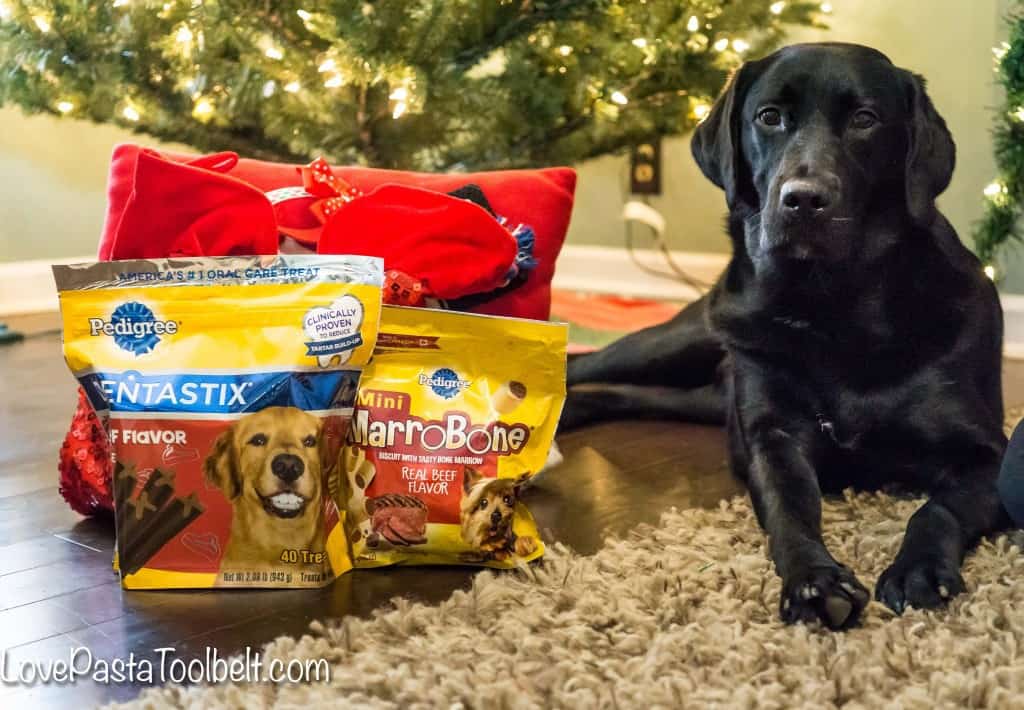 Don't forget your pup this Christmas with these Stocking Stuffer Ideas for Your Dog- Love, Pasta and a Tool Belt #ad #ClausandPaws | Dog ideas | Dog treats | Stocking Stuffers | Gift Ideas | Gifting |