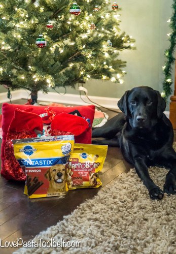 Dog Stocking Stuffer Ideas3 - Love, Pasta, and a Tool Belt