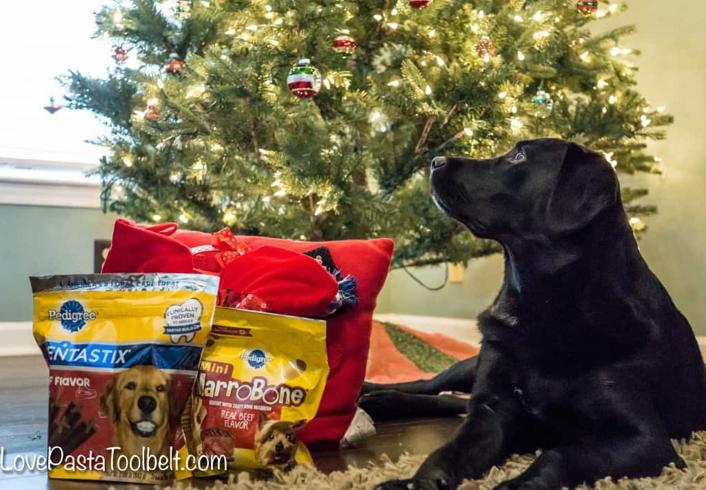 Don't forget your pup this Christmas with these Stocking Stuffer Ideas for Your Dog- Love, Pasta and a Tool Belt #ad #ClausandPaws | Dog ideas | Dog treats | Stocking Stuffers | Gift Ideas | Gifting |