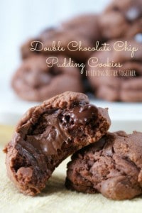 Double-Chocolate-Chip-Cookie14