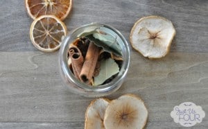 Dried Fruit Potpourri