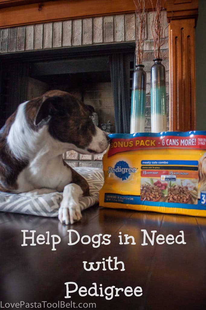 Help Dogs in Need with Pedigree- Love, Pasta and a Tool Belt #PedigreeGives #cbias #shop