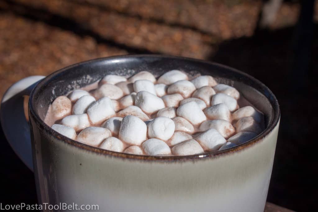 Hot Chocolate Mix-1