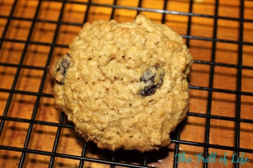 Secret Ingredient Oatmeal Cookies-Guest Post