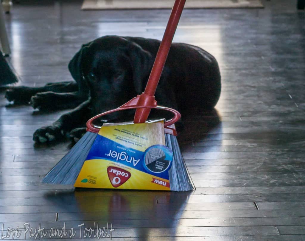 My Beautiful Mess- Love, Pasta and a Tool Belt #SweepTheMess #ad | dogs | mess | cleaning |