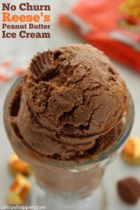 No-Churn-Reeses-Peanut-Butter-Ice-Cream-1