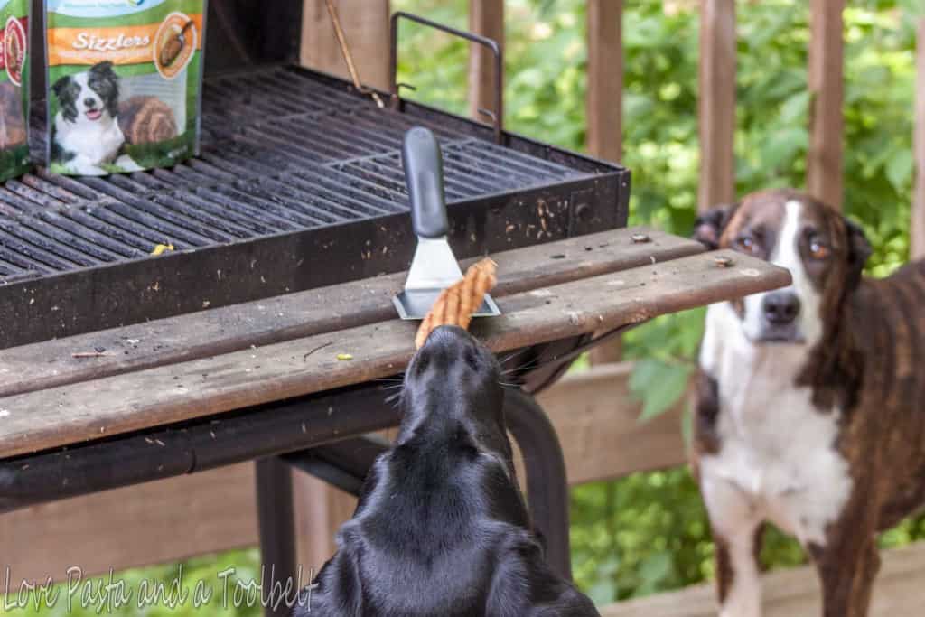 Unconditional Love with Nudges® Grillers- Love, Pasta and a Tool Belt #ad #NudgeThemBack | pets | dogs | dog treats | dog care | pet care | 