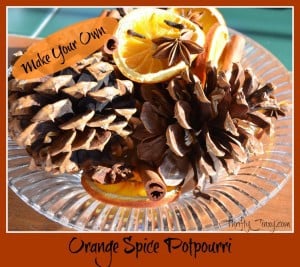 Orange Spice Potpurri