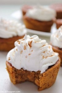 Pumpkin-Pie-Cupcakes-2
