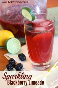 Sparkling Blackberry Limeade from Tastes Better From Scratch