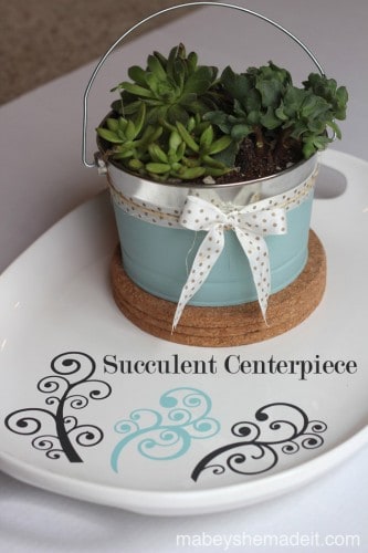 Succulent Centerpiece- Guest Post