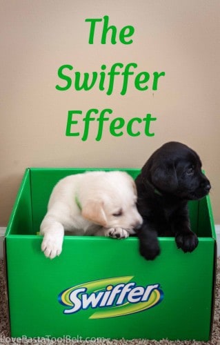 The Swiffer Effect is perfect for cleaning up all those messes your pets make- Love, Pasta and a Tool Belt #SwifferEffect #ASPCA #CleverGirls