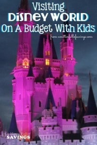 Visiting-Disney-World-On-A-Budget-With-Kids-683x1024