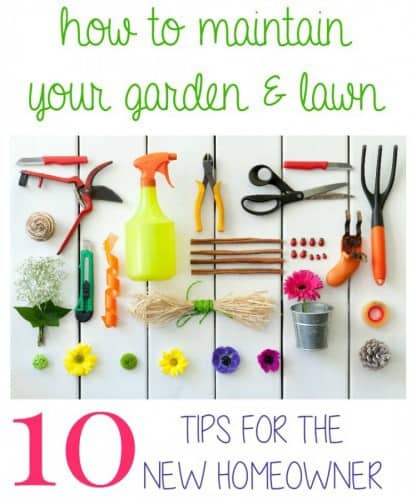 My contributor Jenna is sharing her 10 Tips to Maintain Your Garden and Lawn- Love, Pasta and a Tool Belt | gardening | lawn | garden | outdoor | flowers |
